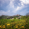 Отель San Martin, фото 13