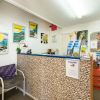 Отель Dolphin Motel, фото 19