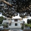 Отель Villa Dei Pini 7 Posti Vicino Al Mare, фото 1