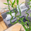 Отель Panda Suite - Fairytale Factory, фото 19