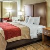 Отель Comfort Inn & Suites Cedar Rapids North - Collins Road, фото 40