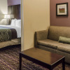Отель Comfort Inn & Suites Dothan East, фото 6