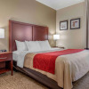 Отель Comfort Inn, фото 5