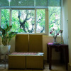 Отель Hanoi Balcony Homestay, фото 9