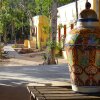 Отель Hacienda Cobá Hotel, фото 15