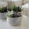 Отель Residenza Sol Holiday, фото 27