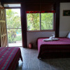 Отель Zapote Tree Inn, фото 2