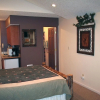 Отель Fawn Valley Inn: 296 1 Bedroom Apts, фото 2