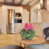 Отель Apartamentos la Ventana de Mogrovejo, фото 35