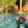Отель Black Beauty Guesthouse, фото 9