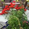Отель Mo-Dhachaidh B&B, фото 8