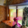 Отель JUNJALs Backpackers Chalet, фото 4
