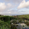 Отель Clifftop Haven, фото 16