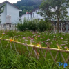 Отель Zhangjiajie Forest Inn, фото 11
