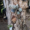 Отель João de Barro Hospedagem, фото 18