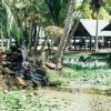 Отель Overbridge River Resort, фото 20