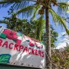 Отель BackPackers Hawaii, фото 3