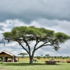 Отель Pumzika Luxury Safari Camp - East Africa Camps, фото 25