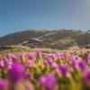 Отель Cliffs End Beach Shack - 105 Gold Coast Drive, Carrickalinga, фото 8