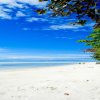Отель Dubay Panglao Beachfront Resort, фото 13