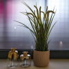 Отель Design Central Apartment, фото 16