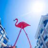 Отель Flamingo Residence, фото 1