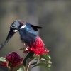 Отель Waitomo Caves Guest Lodge, фото 32