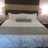 Отель Best Western Plus Buda Austin Inn & Suites, фото 32