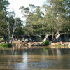 Отель Billabong Camp, Taronga Western Plains Zoo, фото 6