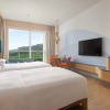 Отель Hyatt Regency Hainan Ocean Paradise Resort, фото 4