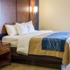 Отель Comfort Inn & Suites Statesboro - University Area, фото 3