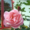 Отель Bo i Remmarlöv, фото 14