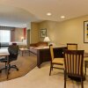 Отель Holiday Inn Express Hotel & Suites Tampa Northwest - Oldsmar, an IHG Hotel, фото 14