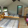 Отель Ngamba Island Tented Camp, фото 2