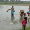 Отель Tharu Community Home Stay, фото 23