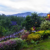 Отель Blue Mist Resort, фото 16