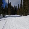 Отель Kiser Creek Cabins, фото 6