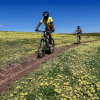 Отель Trails End Bike Hotel, фото 41