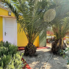 Отель Pets Wellcom House with Garden, фото 3