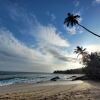 Отель Suduwella House in Tangalle, фото 28