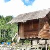 Отель Borneo Tribal Village, фото 17