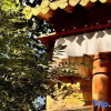 Отель Danba Valley Kande Muzang Culture B&B, фото 1