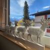 Отель Alpenrose, фото 6