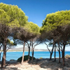 Отель Apartment one kilometer from the beach of Tanaunella and two kilometers from the center of Budoni-Ap, фото 38