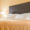 Отель Quality Inn & Suites, фото 23