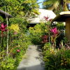 Отель The Friendly Islander (Papiloa's), фото 31