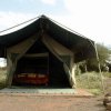 Отель Kimana Amboseli Camp, фото 4