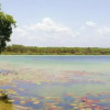 Отель Laguna Encantada, фото 18