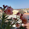 Отель Casa Fiorita Bed and Breakfast, фото 20