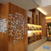 Отель Yunqiu Mountain Kangjiaping Homestay, фото 18